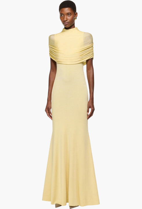 Draped Shawl Viscose Knit Dress